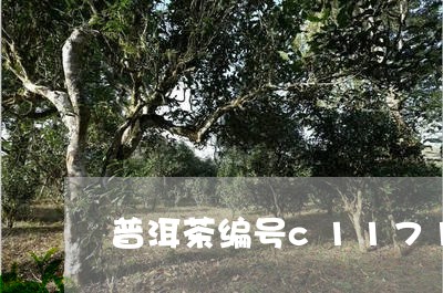 普洱茶编号c1171/2023080339471