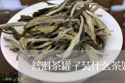 普洱茶罐子装什么茶好呢/2023103116158