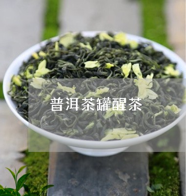 普洱茶罐醒茶/2023042670068