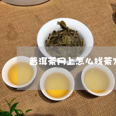 普洱茶网上怎么找茶农/2023100774957