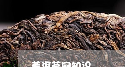 普洱茶网知识/2023042788977