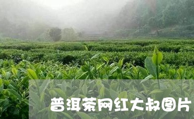 普洱茶网红大叔图片/2023110983846