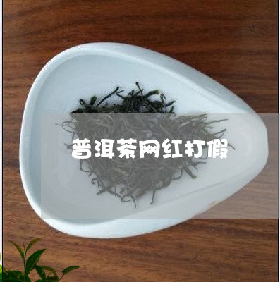 普洱茶网红打假/2023101690603