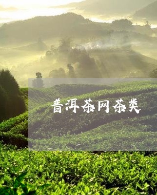 普洱茶网茶类/2023042840816