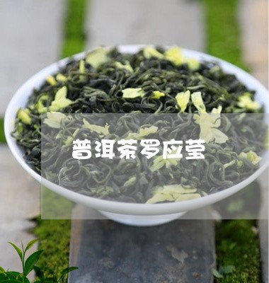 普洱茶罗应莹/2023042902366