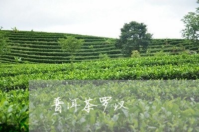 普洱茶罗汉/2023090561692