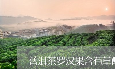 普洱茶罗汉果含有草酸盐吗/2023051003949