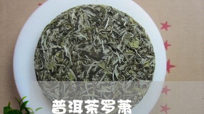 普洱茶罗萧/2023102563825