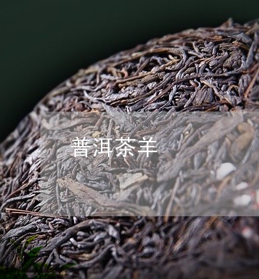 普洱茶羊/2023110883835