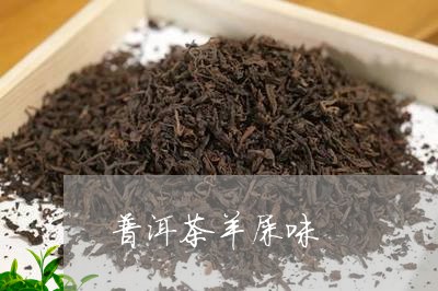 普洱茶羊屎味/2023081515826