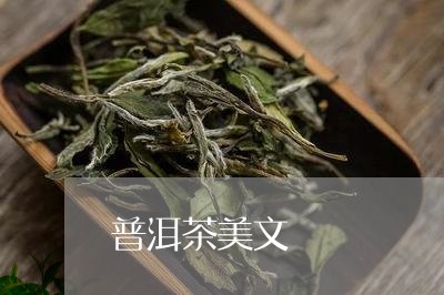 普洱茶美文/2023090637171