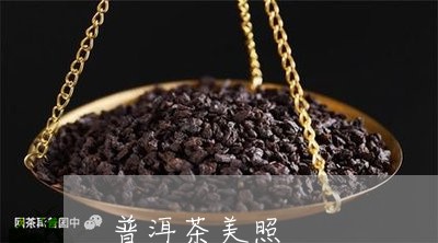 普洱茶美照/2023102564048