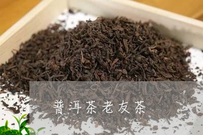 普洱茶老友茶/2023042887633