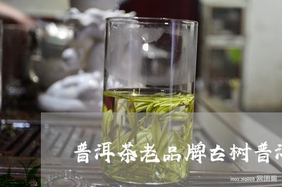 普洱茶老品牌古树普洱茶庆丰祥品牌/2023060327580