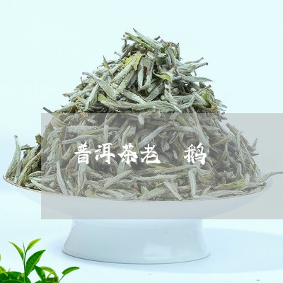 普洱茶老嫚鹅/2023042703048