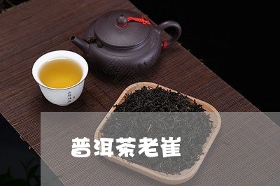 普洱茶老崔/2023102573928