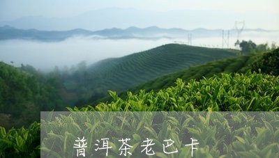 普洱茶老巴卡/2023042818947