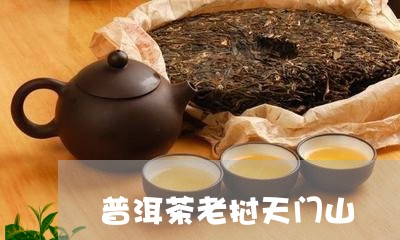 普洱茶老挝天门山/2023073172805