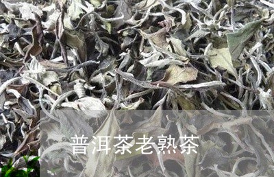 普洱茶老熟茶/2023042888508