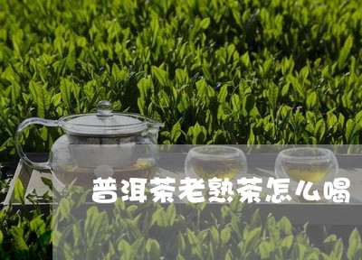 普洱茶老熟茶怎么喝/2023101650582