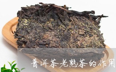 普洱茶老熟茶的作用是什么/2023121706461