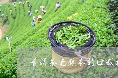 普洱茶老熟茶的口感特点/2023112876139