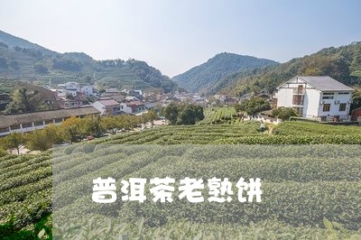 普洱茶老熟饼/2023042844201