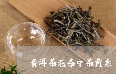 普洱茶老茶中茶黄素/2023070926069