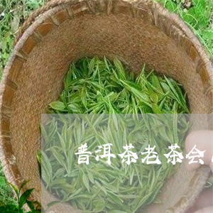 普洱茶老茶会出茶油吗/2023092971725