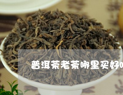 普洱茶老茶哪里买好喝又实惠/2023110705248