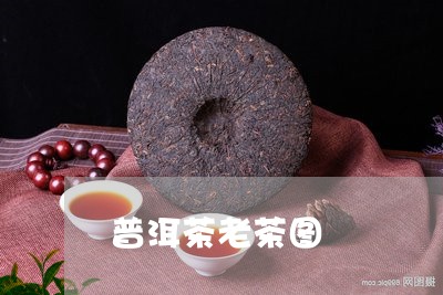 普洱茶老茶图/2023042813343