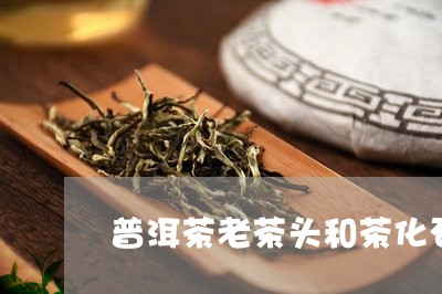 普洱茶老茶头和茶化石/2023062864138