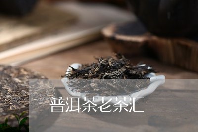 普洱茶老茶汇/2023042840411