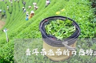 普洱茶老茶的口感特点是/2023112566269