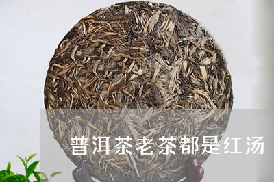 普洱茶老茶都是红汤/2023120537584