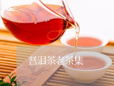 普洱茶老茶集/2023081888261