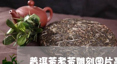 普洱茶老茶雕刻图片高清/2023120720605