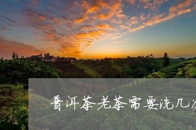 普洱茶老茶需要洗几次/2023120652835