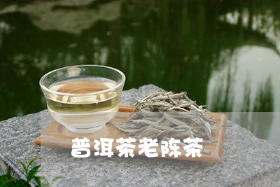 普洱茶老陈茶/2023042874940