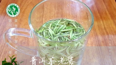 普洱茶老饕/2023090546938