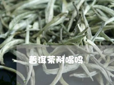 普洱茶耐喝吗/2023042525891