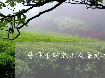 普洱茶耐泡几次最好喝/2023062863939