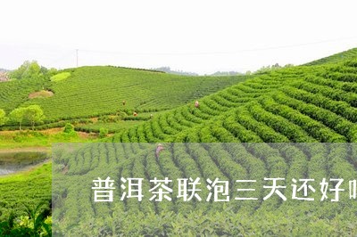 普洱茶联泡三天还好吗/2023061866150