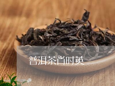 普洱茶肖时英/2023042883239