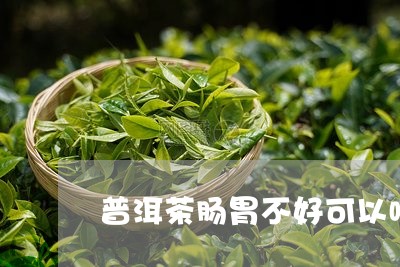 普洱茶肠胃不好可以喝吗/2023122016261