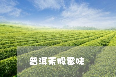 普洱茶股霉味/2023042606150