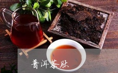 普洱茶肽/2023090142682