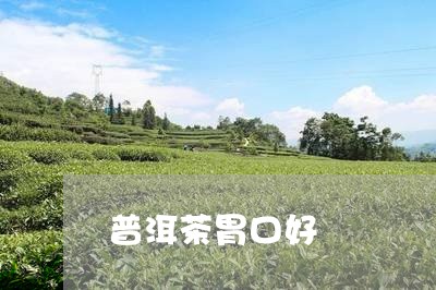 普洱茶胃口好/2023042842983