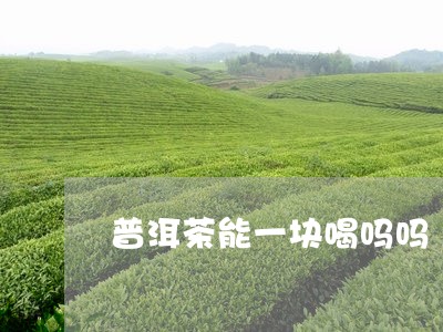 普洱茶能一块喝吗吗/2023070912827