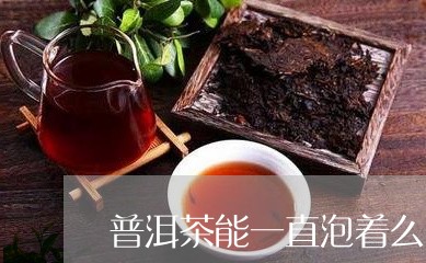 普洱茶能一直泡着么/2023091583158